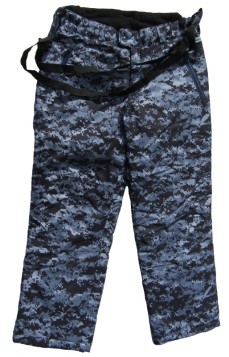 r99ps.jpg (5446 bytes)