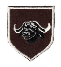 rho8s.jpg (3516 bytes)