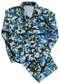 chcamo7bs.jpg (6173 bytes)