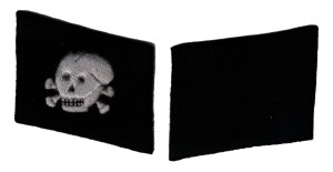 rse21s.jpg (3087 bytes)