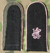 rse229s.jpg (3413 bytes)