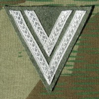 rse360bs.jpg (3448 bytes)