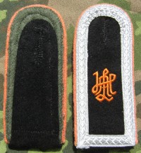 rse381s.jpg (4176 bytes)