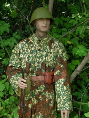 scs17bs.jpg (5930 bytes)