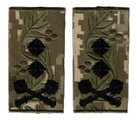 uksb8s.jpg (55030 bytes)